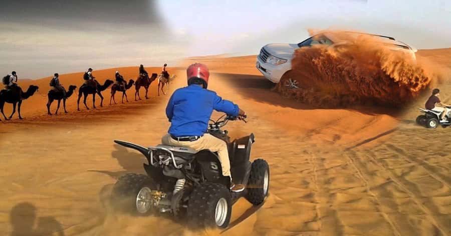 Doha Safari Quadbike, CamelRide, Sandboarding & Inland Sea - Camel stop: a brief taste of desert tradition