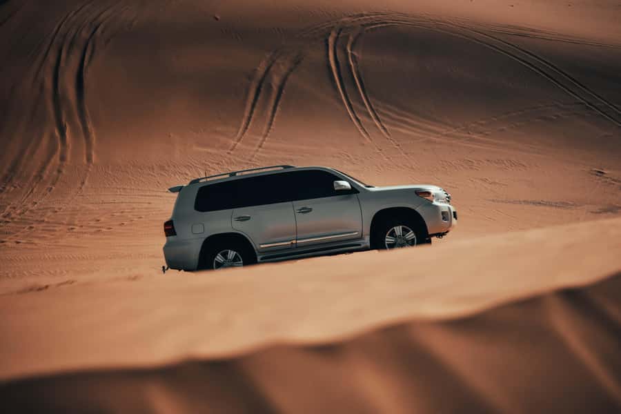 Doha:Safari Tour with Lunch/Dinner in Desert by the Sea Side - Key Points to Know Before You Book