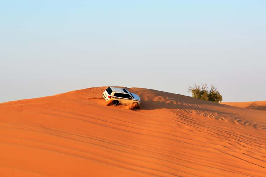 Doha:Safari Tour with Lunch/Dinner in Desert by the Sea Side - Sealine Beach Camp, BBQ, and a Chance to Swim