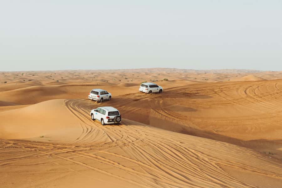 Doha:Safari Tour with Lunch/Dinner in Desert by the Sea Side - The Guides Make a Real Difference