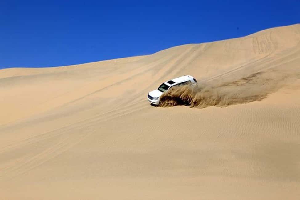 Doha Safari with Camel Ride, Inland Sea & Hotel Transfer - Dune bashing across Qatar’s golden sand