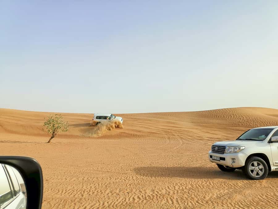 Doha: Shared Desert Safari, Sandboarding, Camel Ride - Key points before you book