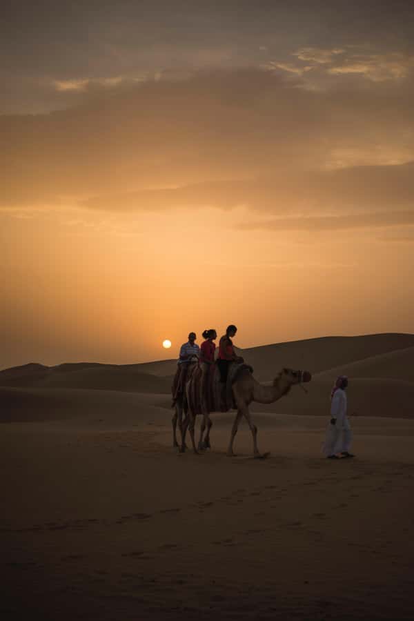 Doha: Shared Desert Safari, Sandboarding, Camel Ride - What the guides add to the ride