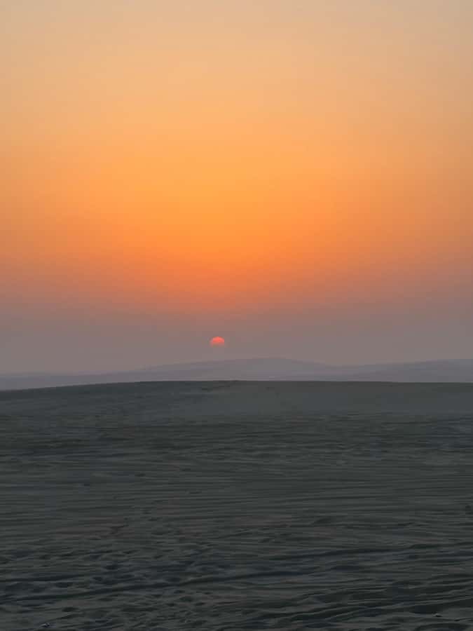 Doha: Stargazing Desert Safari w/ Dune Bashing & Camel Ride - Dune bashing and sandboarding: where the action happens
