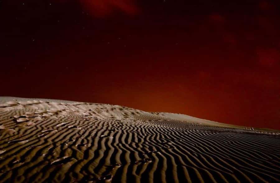 Doha: Stargazing Desert Safari w/ Dune Bashing & Camel Ride - Guides who shape the experience
