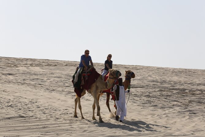 Doha; Sunrise Desert Tour and camel safari 4hrs - Is $75 a good value?