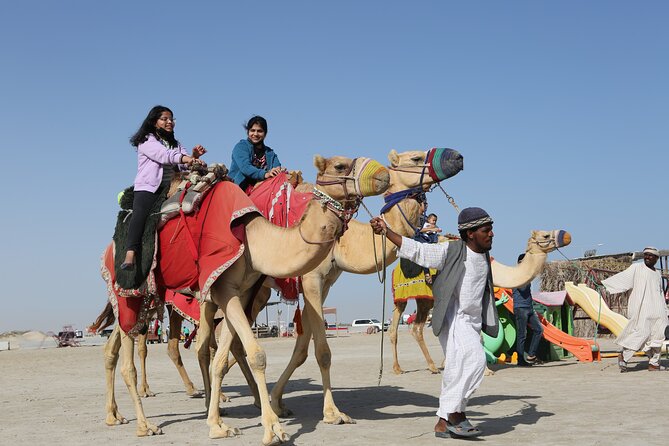 Doha; Sunrise Desert Tour and camel safari 4hrs - Who should book this morning safari?