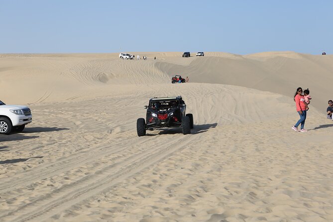 Doha; Sunrise Desert Tour and camel safari 4hrs - Starting at Sealine Beach before dawn