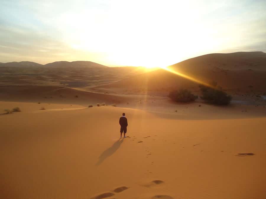 Doha:Sunrise or Sunset Desert Safari Tour with Sand Boarding - Dune bashing: thrilling, skilled, and not mild