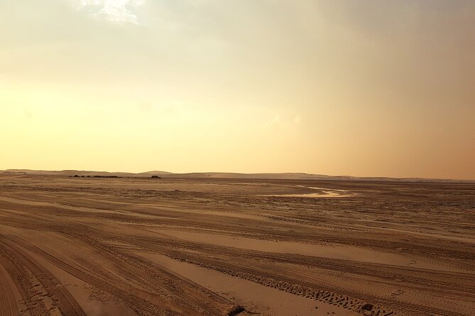 Doha: Sunrise /Sunset Desert Safari with Sand Boarding,Camel ride - Who will enjoy this desert trip most