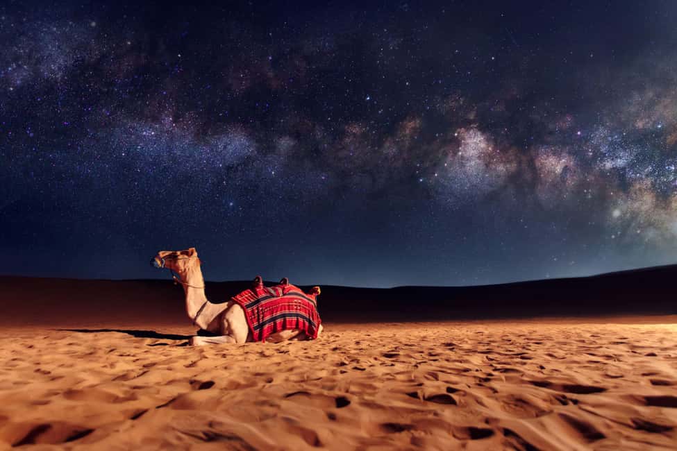 Doha: Sunset Desert Safari, ATV, Camel Ride and Sandboarding - Five things to know before you book