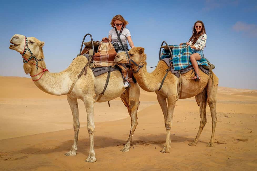 Doha: Sunset Desert Safari, ATV, Camel Ride and Sandboarding - Sandboarding: easy to try, harder to repeat