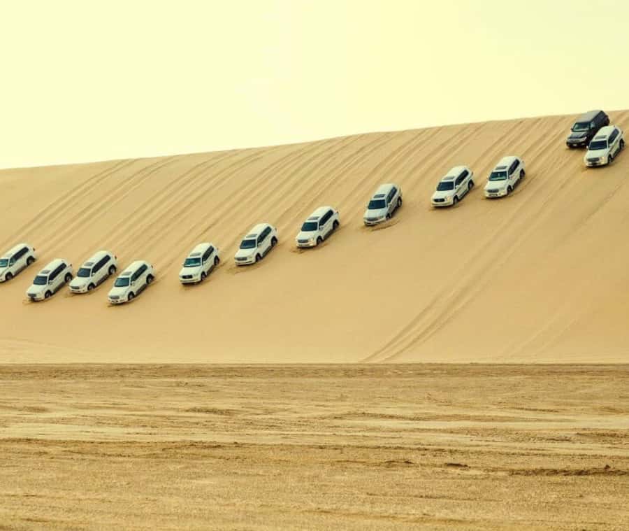 Doha: Sunset Desert Safari with Camel Ride and Sandboarding - Key points to know before you go