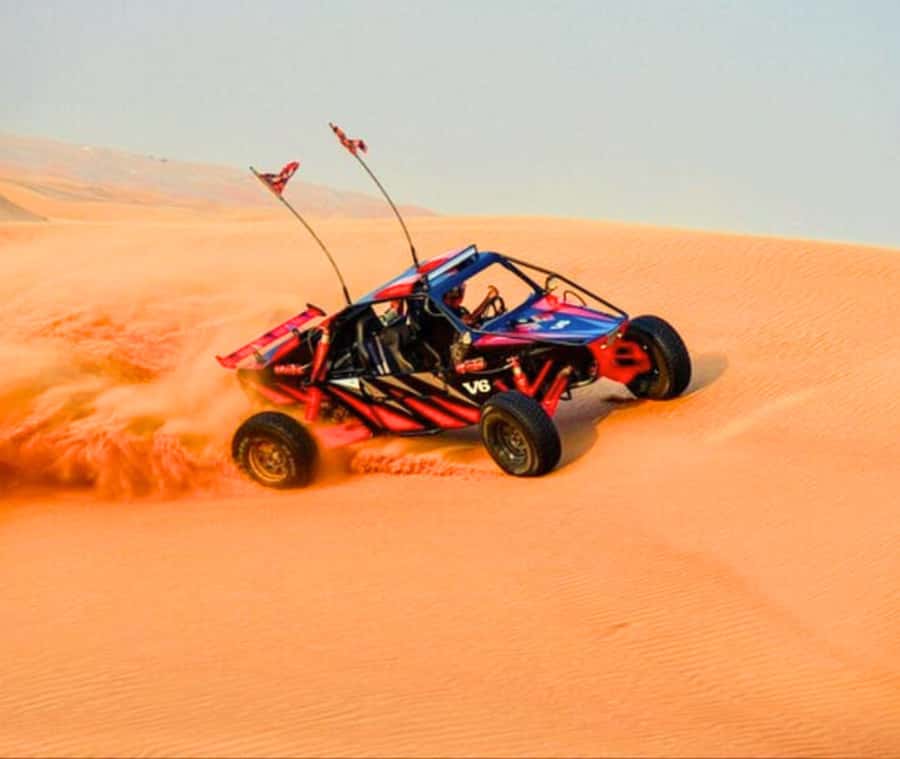 Doha: Sunset Desert Safari with Camel Ride and Sandboarding - Who will enjoy this desert safari most