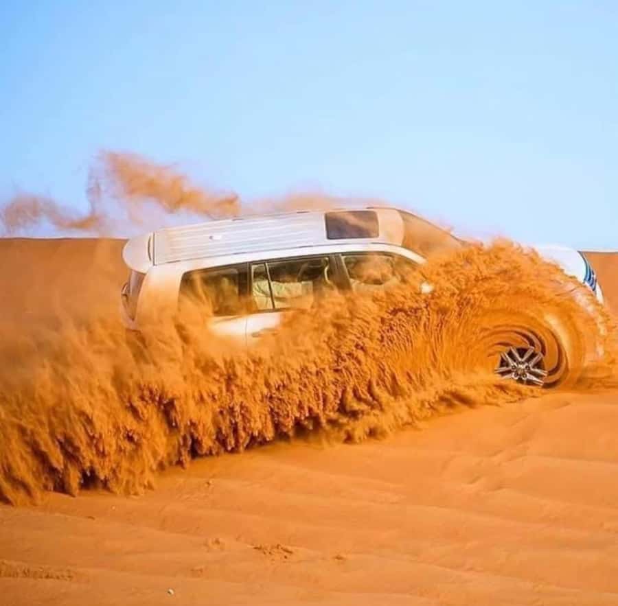 Doha: Sunset Desert Safari with Camel Ride & Sandboarding - Who should book this safari?