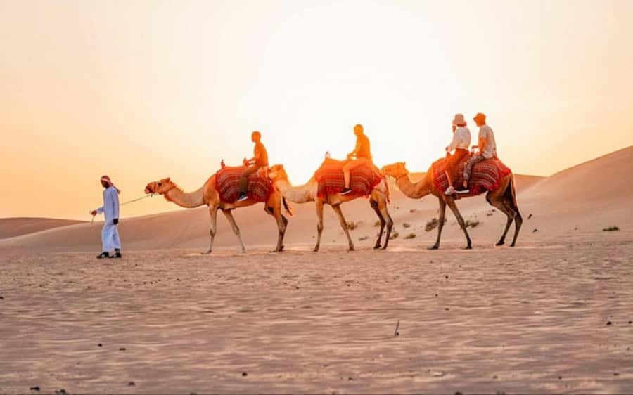 Doha: Sunset Desert Safari with Camel Ride & Sandboarding - Dune bashing across Qatars sand