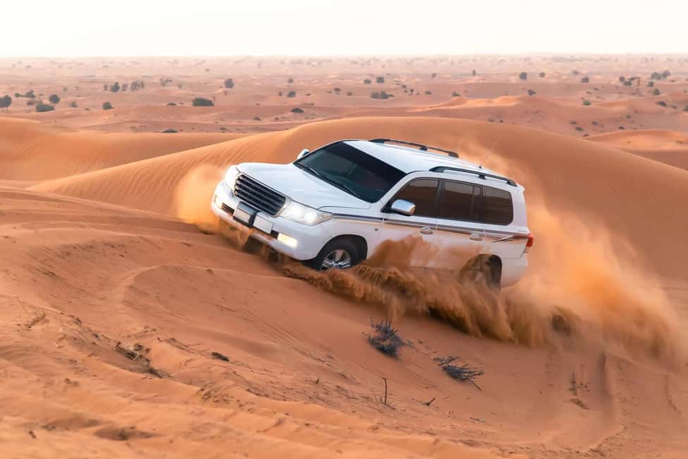 Doha Sunset or Sunrise Desert Safari, Camel Ride, Inland Sea - Why this Qatar safari is worth your time