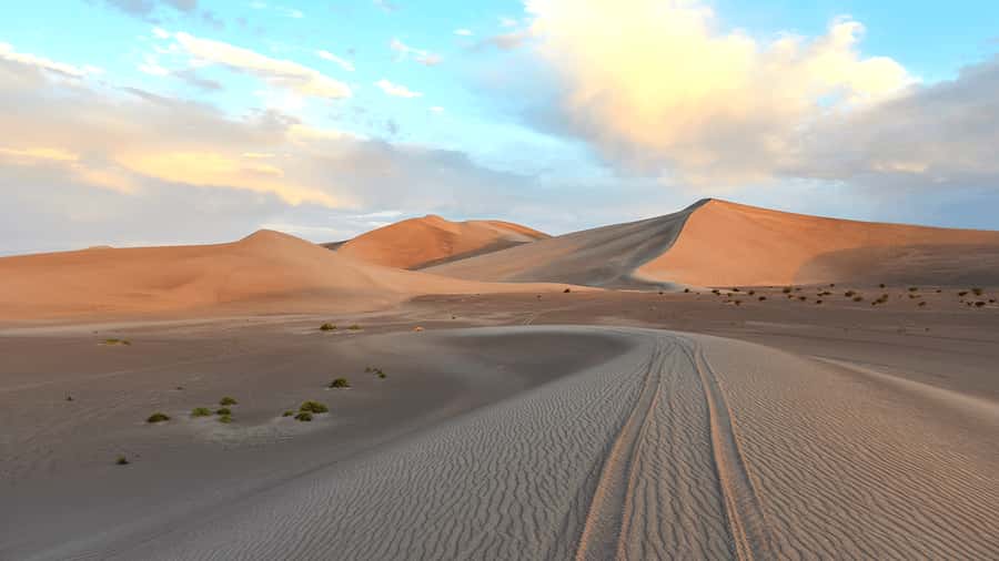 Doha: Sunset Safari, Dune Bashing, Sandboarding & Camel Ride - The Inland Sea adds more than a desert backdrop