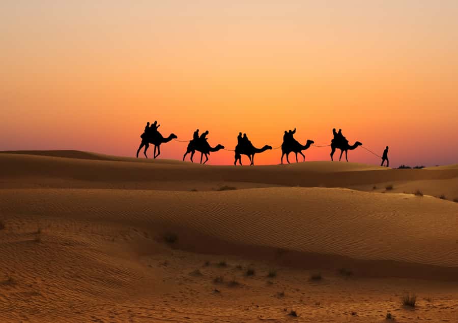Doha: Sunset Safari, Dune Bashing, Sandboarding & Camel Ride - Guides make a bigger difference than the price