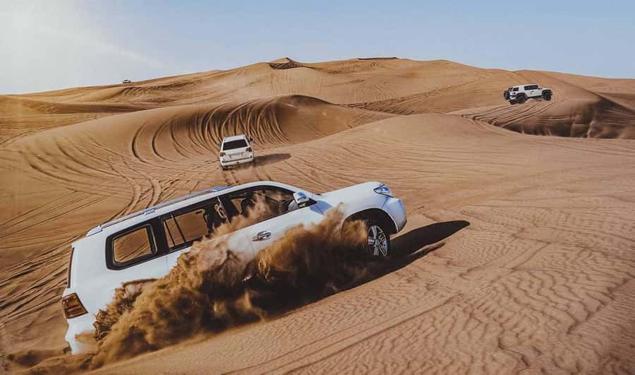 Doha: Thrilling 4x4 Desert Safari, Inland Sea-All Activities - The camel stop: a quiet start to a fast day