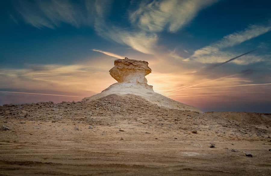 Doha: West Coast Qatar Tour, Sculptures, Camel Racing track - Zekreet village, beach, and the small fort ruins