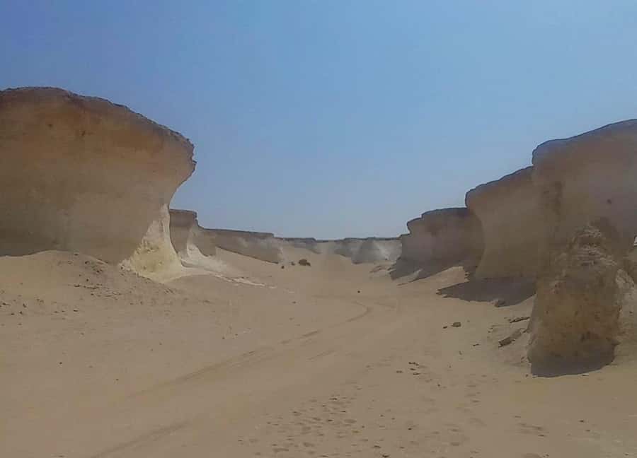 Doha: West Coast Qatar Tour, Sculptures, Camel Racing track - Practical advice for a better half-day