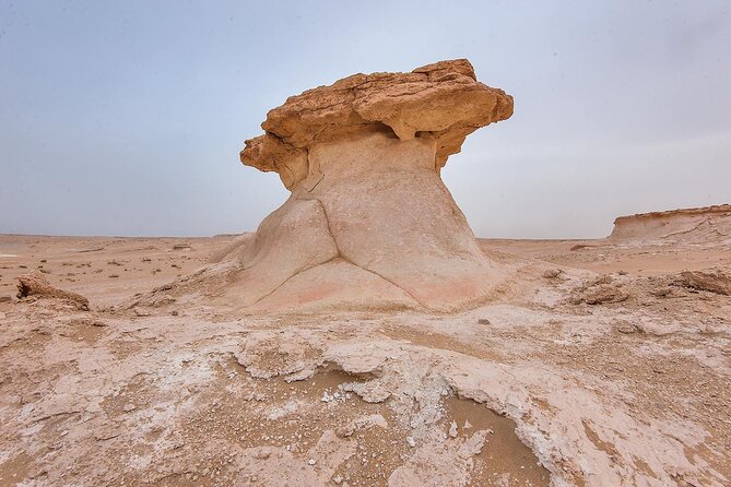 Doha : West Coast Tour on Zekreet Peninsula - Why western Qatar makes a good half-day escape