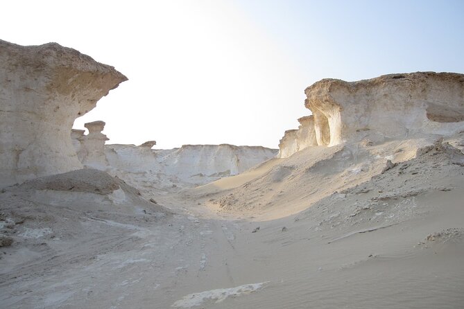 Doha : West Coast Tour on Zekreet Peninsula - What the private format changes