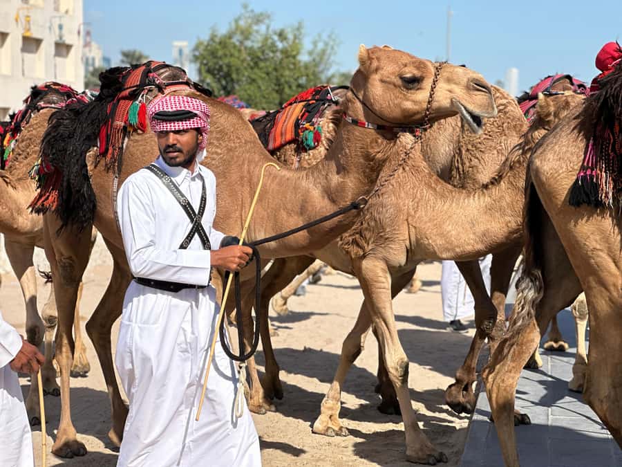 Doha: West Qatar Guided Journey With Pickup & Drop-Off - Key things to know before booking