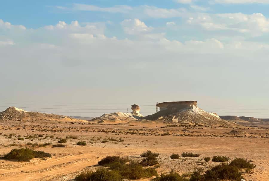 Doha: West Qatar Guided Journey With Pickup & Drop-Off - Al Shahaniya Camel Racetrack in 30 minutes