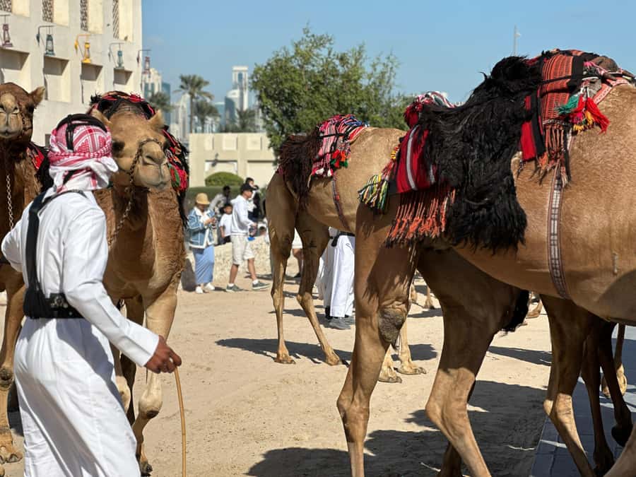 Doha: West Qatar Guided Journey With Pickup & Drop-Off - How the timing works in real life