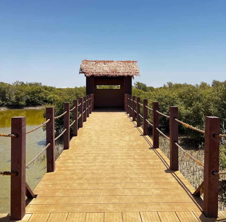Doha: Zubara UNESCO Site, Mangroves & Jumail Village - Why North Qatar is worth your time