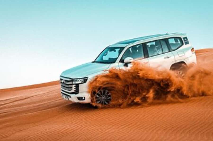 Dune Bashing &Beyond The Ultimate Desert Safari From Doha - Sandboarding and the simple pleasure of stopping