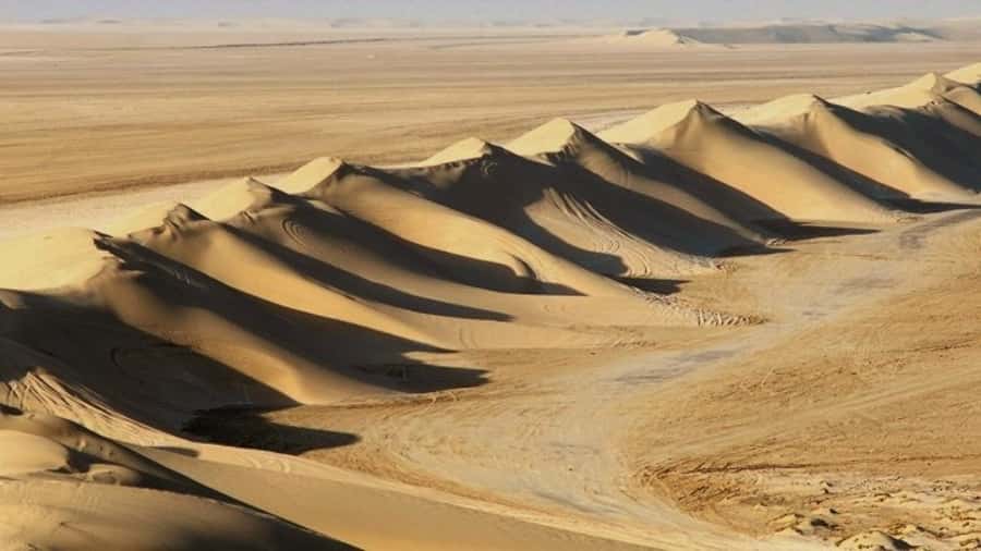 Dune Bashing, Sandboarding, Camel Ride & Optional ATV Ride - Key points before you book