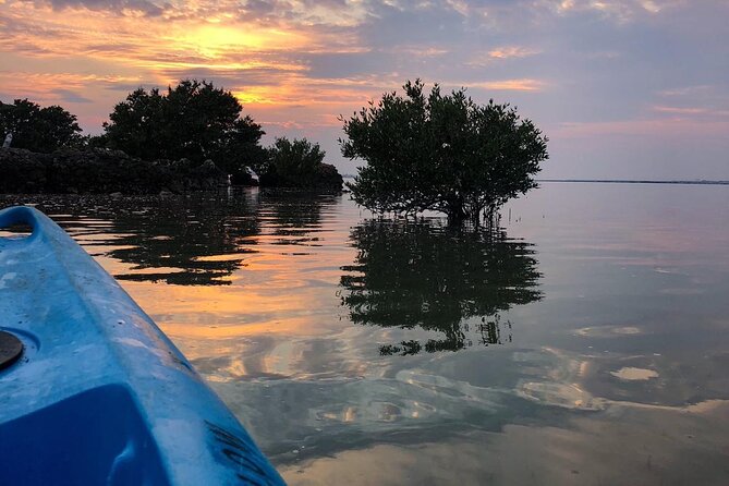 Eco Kayaking Adventure – Mangrove Exploration at Purple Island - Key points to know before you go