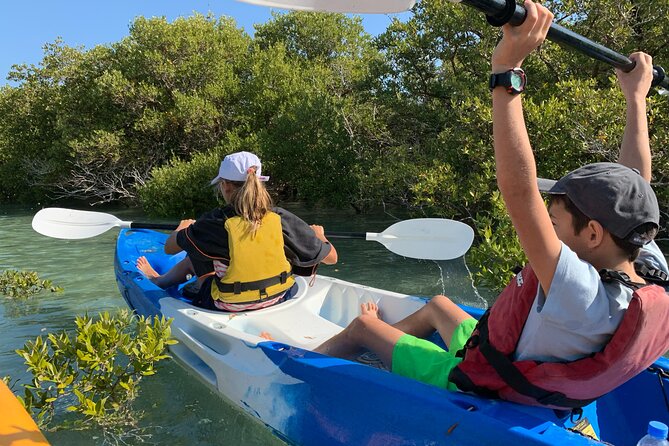 Eco Kayaking Adventure – Mangrove Exploration at Purple Island - What the $75 price really buys you