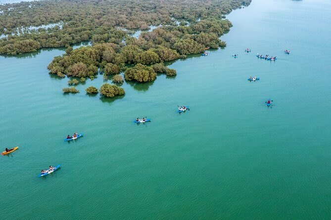 Eco Kayaking Adventure – Mangrove Exploration at Purple Island - Who will enjoy this outing most