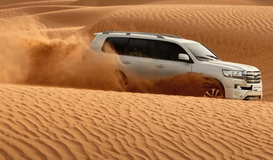 Explore desert Qatar: Off-Road Adventures, dune bashing Tour - Tea, Tire Tracks, and a Camel Ride in Mesaieed