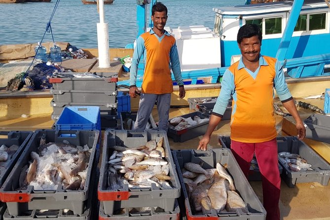 Explore North of Qatar: Visit Zubarah Fort and Fishing Town of Al Khor - Practical advice for getting more from the visit