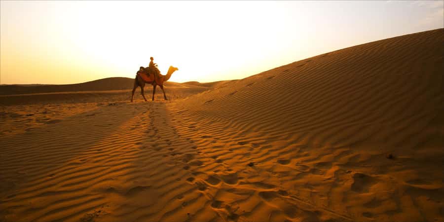 From Doha: 8-hour Safari Tour with Desert Beach Experience - Khor Al Adaid, where sand reaches the sea