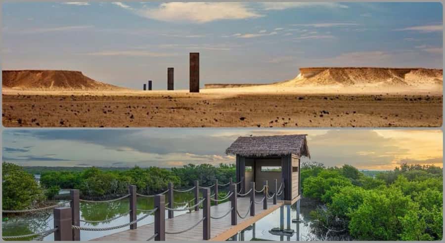 From Doha: Culture & History Qatar Tour to the North & West - Why this tour is a useful first look at Qatar