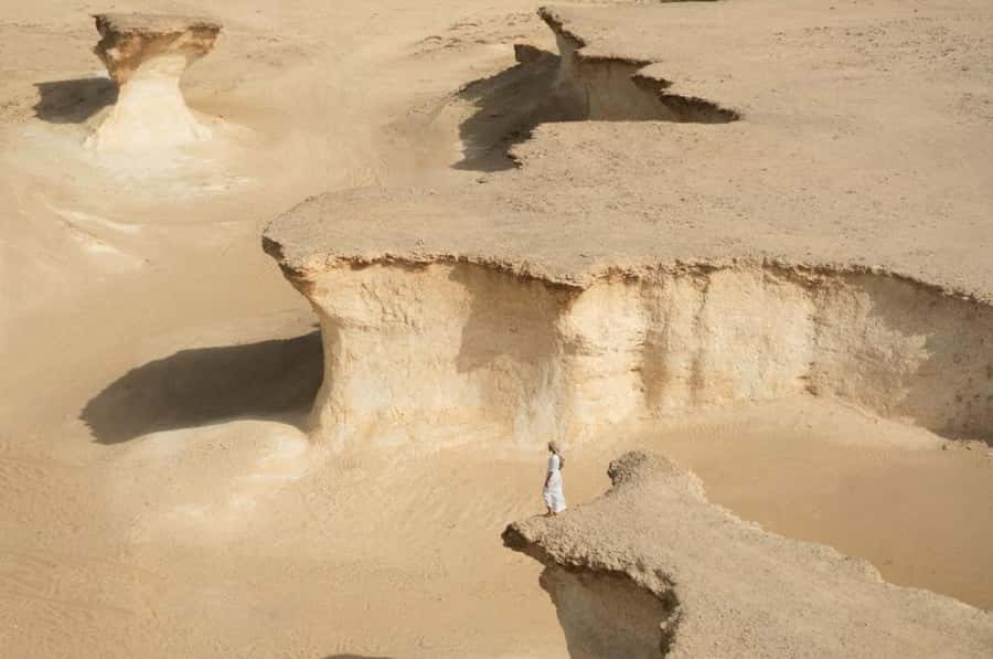 From Doha: Full-Day Tour to Qatar North and West - Al Zubarah Fort and Qatar’s archaeological past