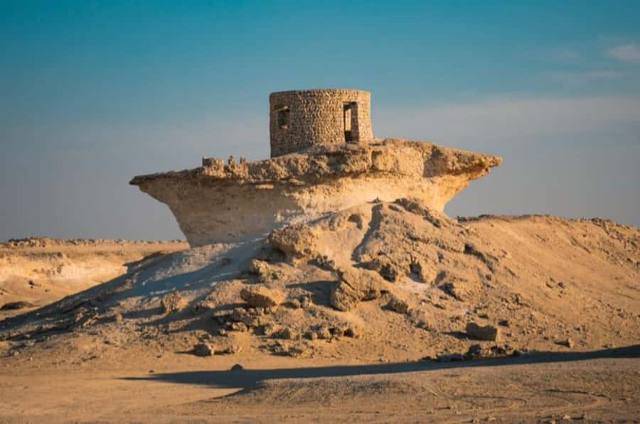 From Doha: Full-Day Tour to Qatar North and West - Al Shahaniya Camel Racetrack