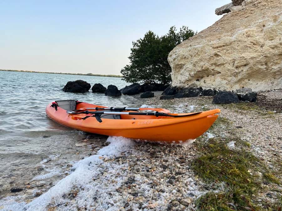 From Doha: Mangroves Kayaking Adventure - Why Al Thakira makes a good half-day escape