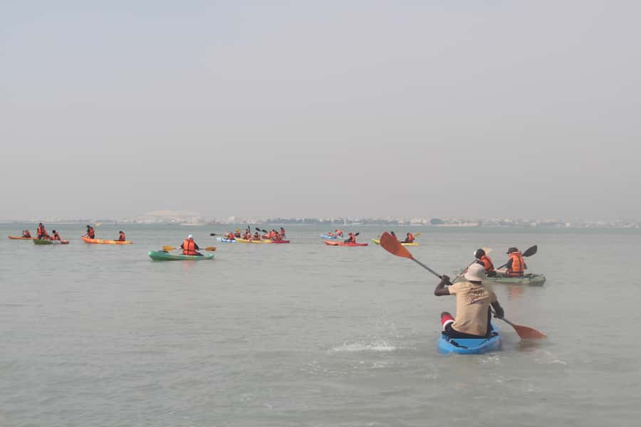 From Doha: Mangroves Kayaking Adventure - Through the mangroves: the calmest part of the trip