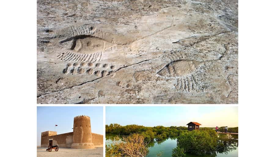 From Doha: Private Al Jassasiya, Zubarah & Purple Island. - Al Jassasiya and Qatar’s mysterious stone carvings