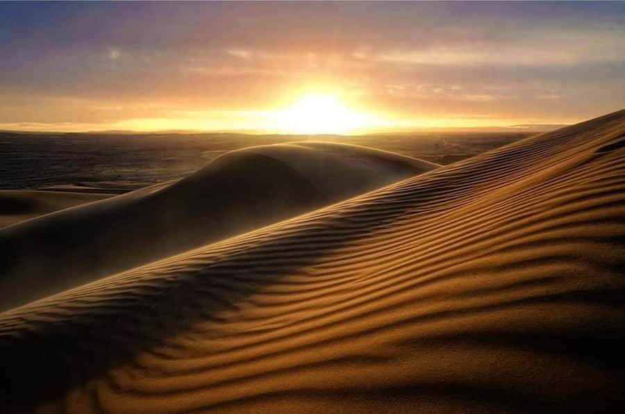 From Doha: Sunrise or Sunset Safari with Sand Boarding - What this $27 desert safari really gives you