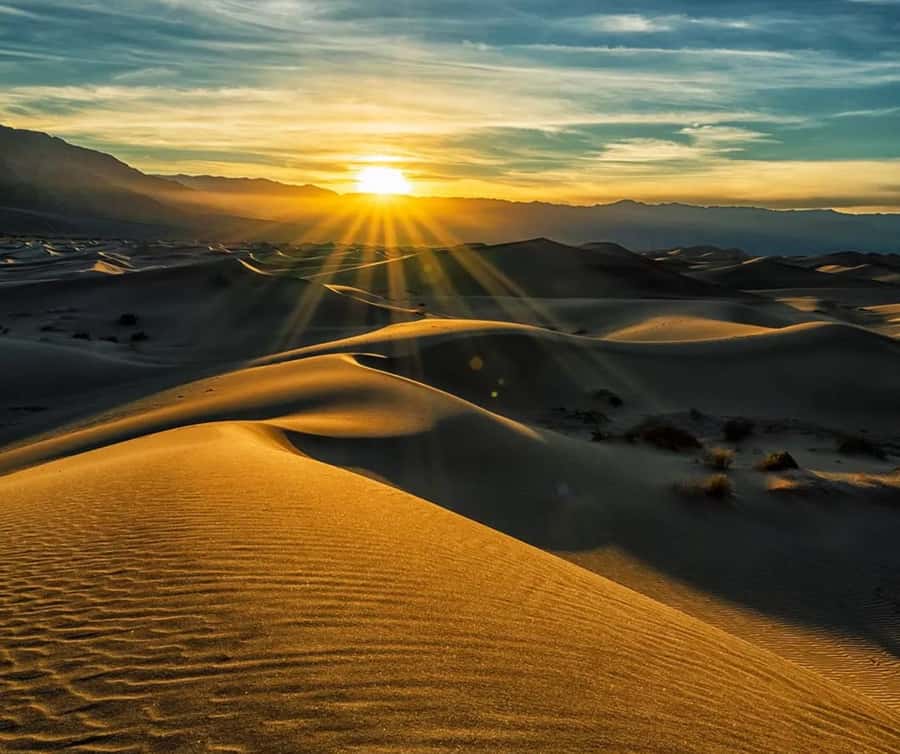 From Doha: Sunrise or Sunset Safari with Sand Boarding - Camel camp and the first taste of desert culture
