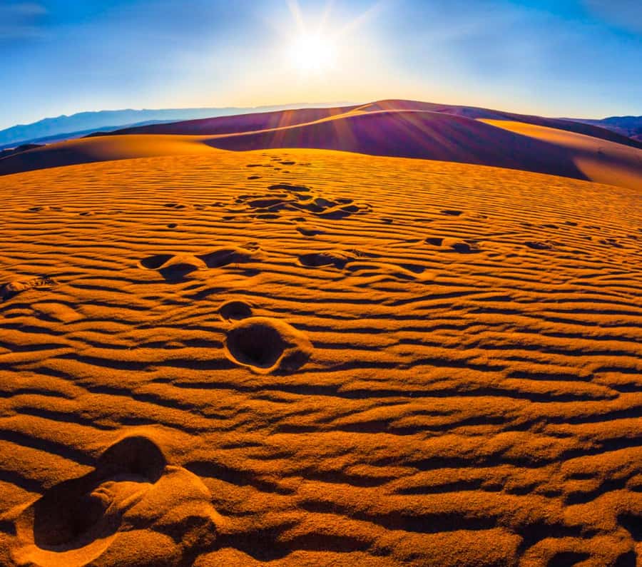 From Doha: Sunrise or Sunset Safari with Sand Boarding - Sandboarding on the E4 dunes