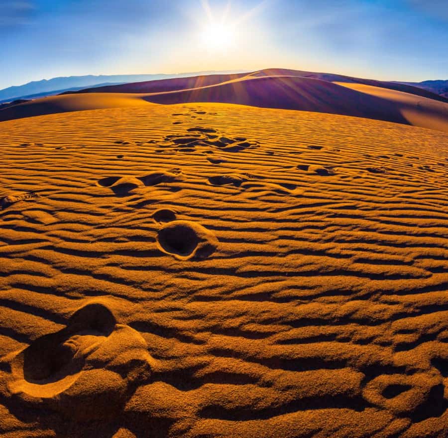 From Doha: Sunrise or Sunset Safari with Sand Boarding - Leaving Doha for Mesaieed’s open desert